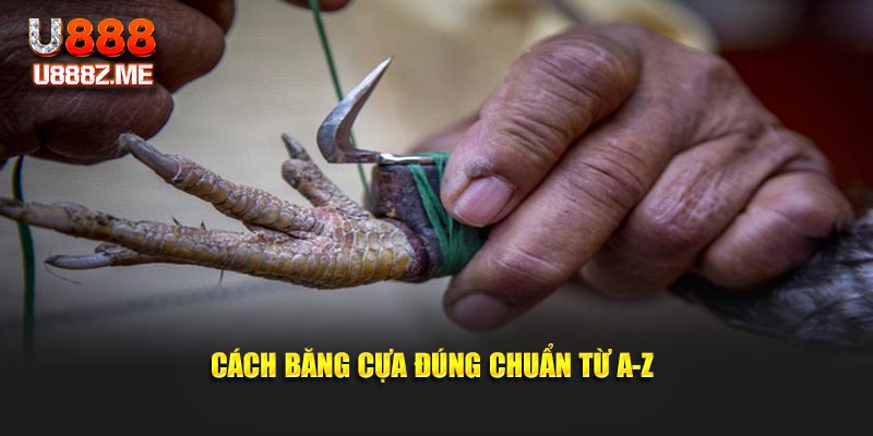 Cách băng cựa đúng chuẩn từ A-Z